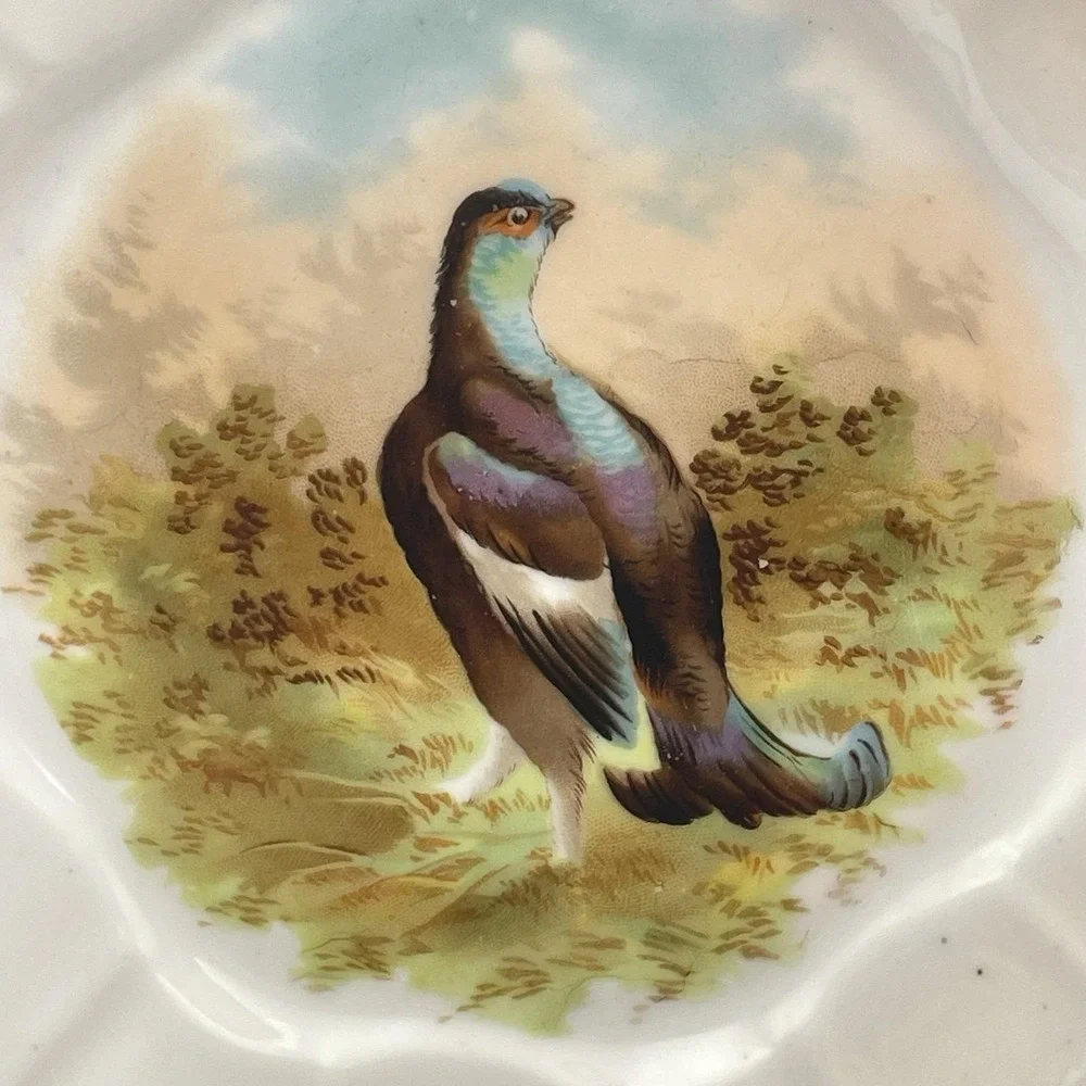 Antique 1920s Silesia‎ Germany Game Bird Scenic Porcelain Cabinet Plate 8